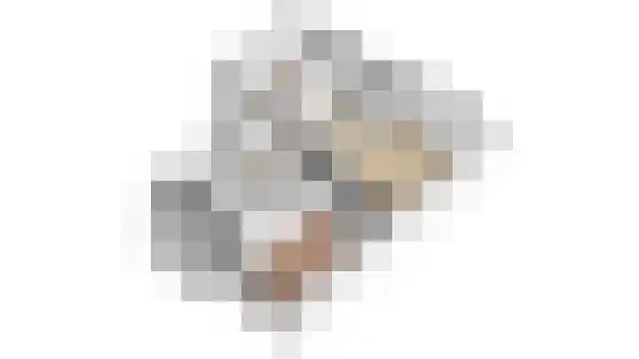 Tolsteegplantsoen 28 Utrecht thumbnail 50