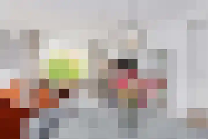 Tolsteegplantsoen 3 2 Utrecht thumbnail 10