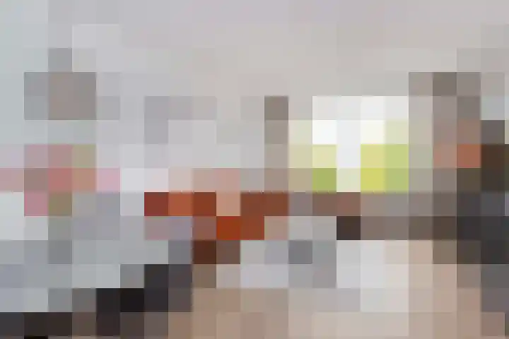 Tolsteegplantsoen 3 2 Utrecht thumbnail 11