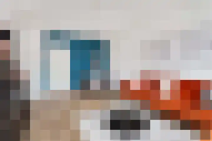 Tolsteegplantsoen 3 2 Utrecht thumbnail 14