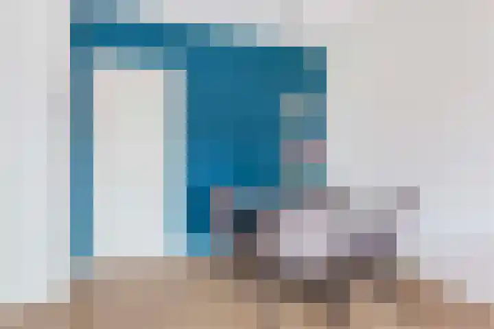 Tolsteegplantsoen 3 2 Utrecht thumbnail 16