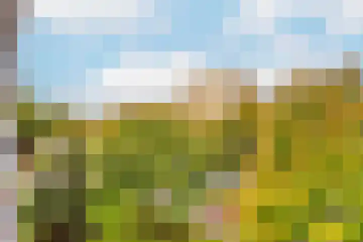 Tolsteegplantsoen 3 2 Utrecht thumbnail 18