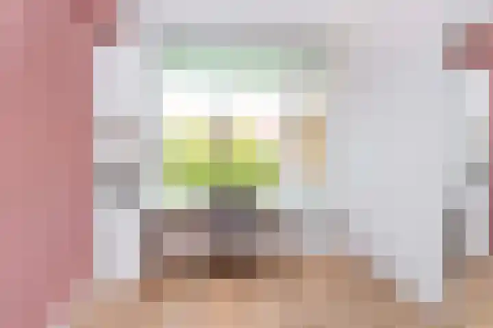 Tolsteegplantsoen 3 2 Utrecht thumbnail 26