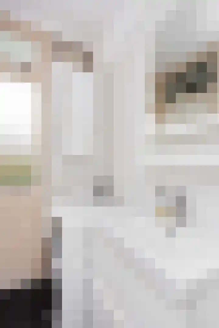 Tolsteegplantsoen 3 2 Utrecht thumbnail 29
