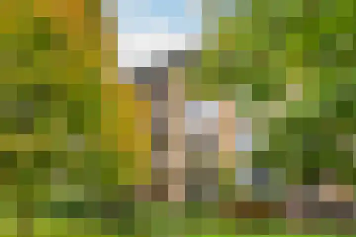 Tolsteegplantsoen 3 2 Utrecht thumbnail 33