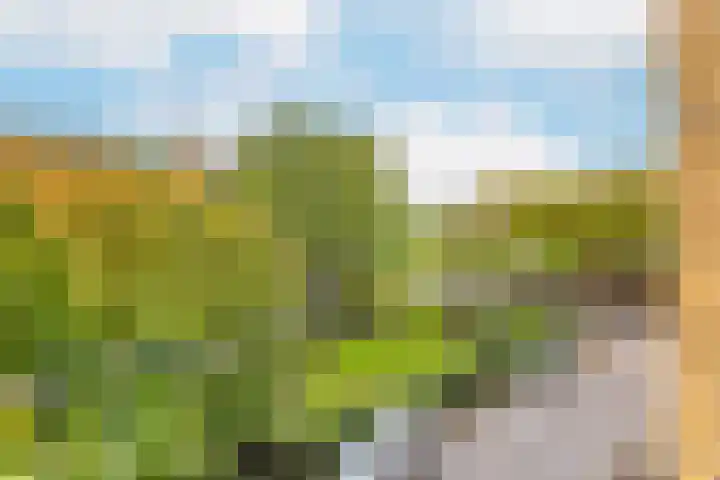 Tolsteegplantsoen 3 2 Utrecht thumbnail 35