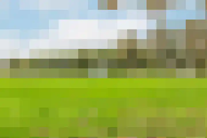 Tolsteegplantsoen 3 2 Utrecht thumbnail 36