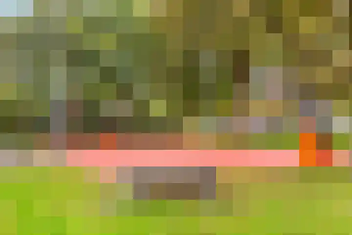 Tolsteegplantsoen 3 2 Utrecht thumbnail 37