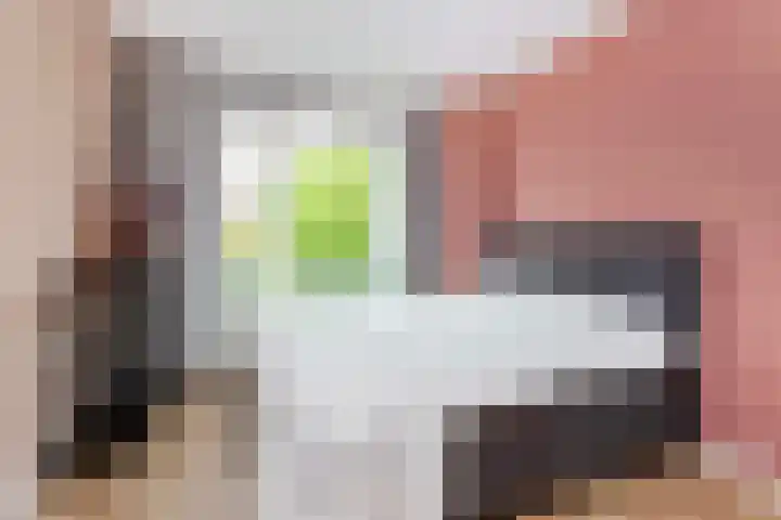 Tolsteegplantsoen 3 2 Utrecht thumbnail 4
