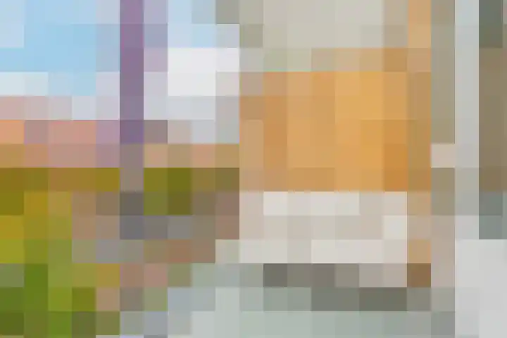 Tolsteegplantsoen 3 2 Utrecht thumbnail 6