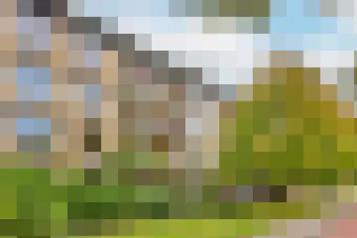 Tolsteegplantsoen 3 2 Utrecht thumbnail 7