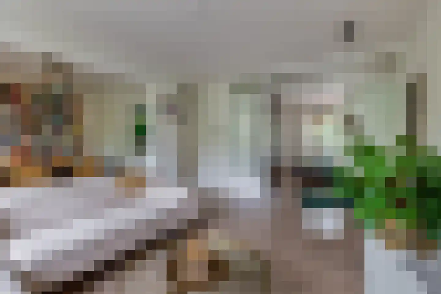 Tolsteegplantsoen 3 3 Utrecht thumbnail 14