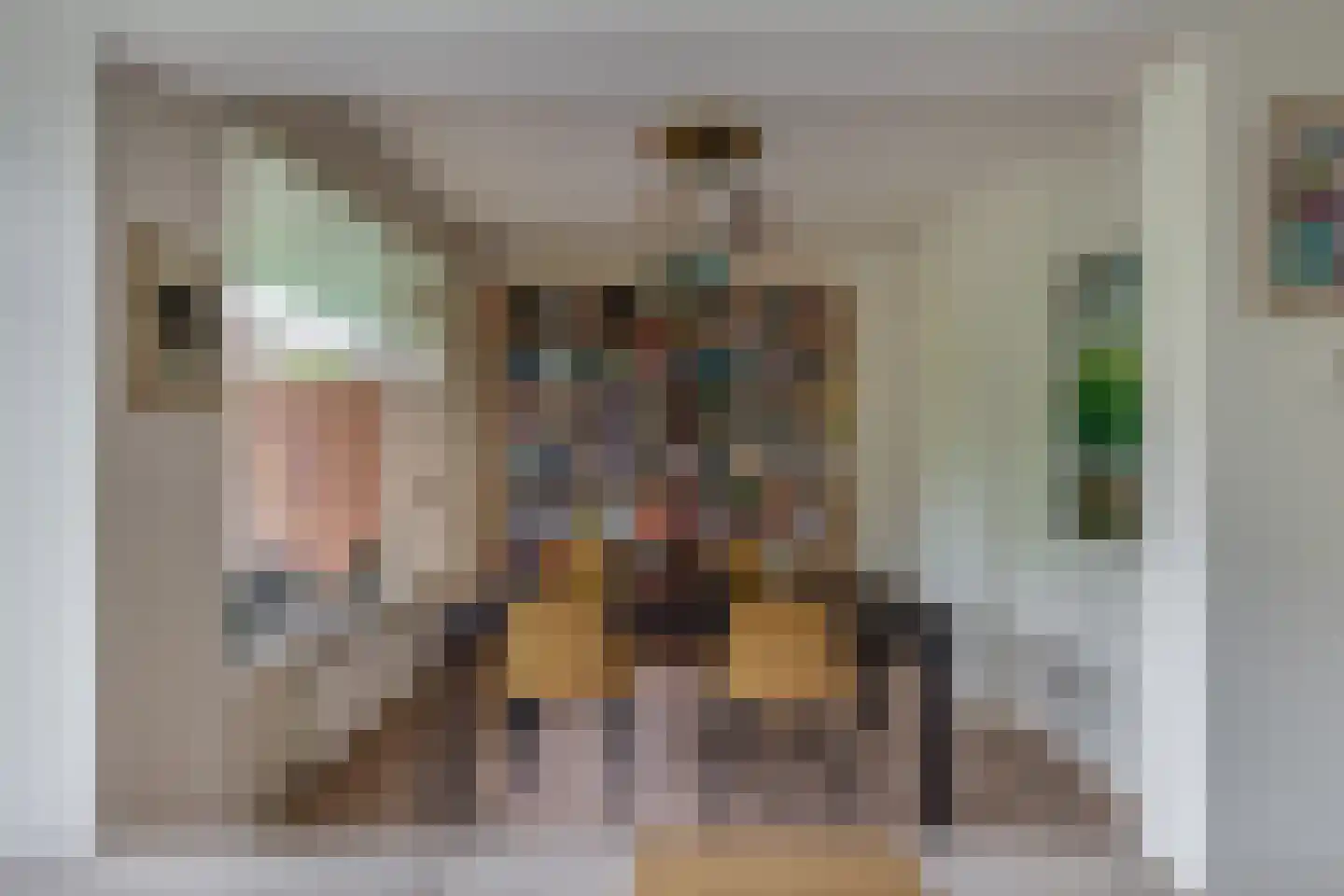 Tolsteegplantsoen 3 3 Utrecht thumbnail 17