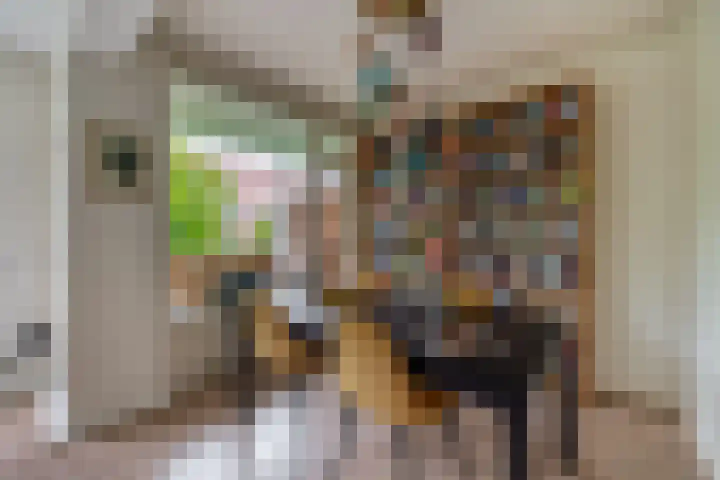 Tolsteegplantsoen 3 3 Utrecht thumbnail 18