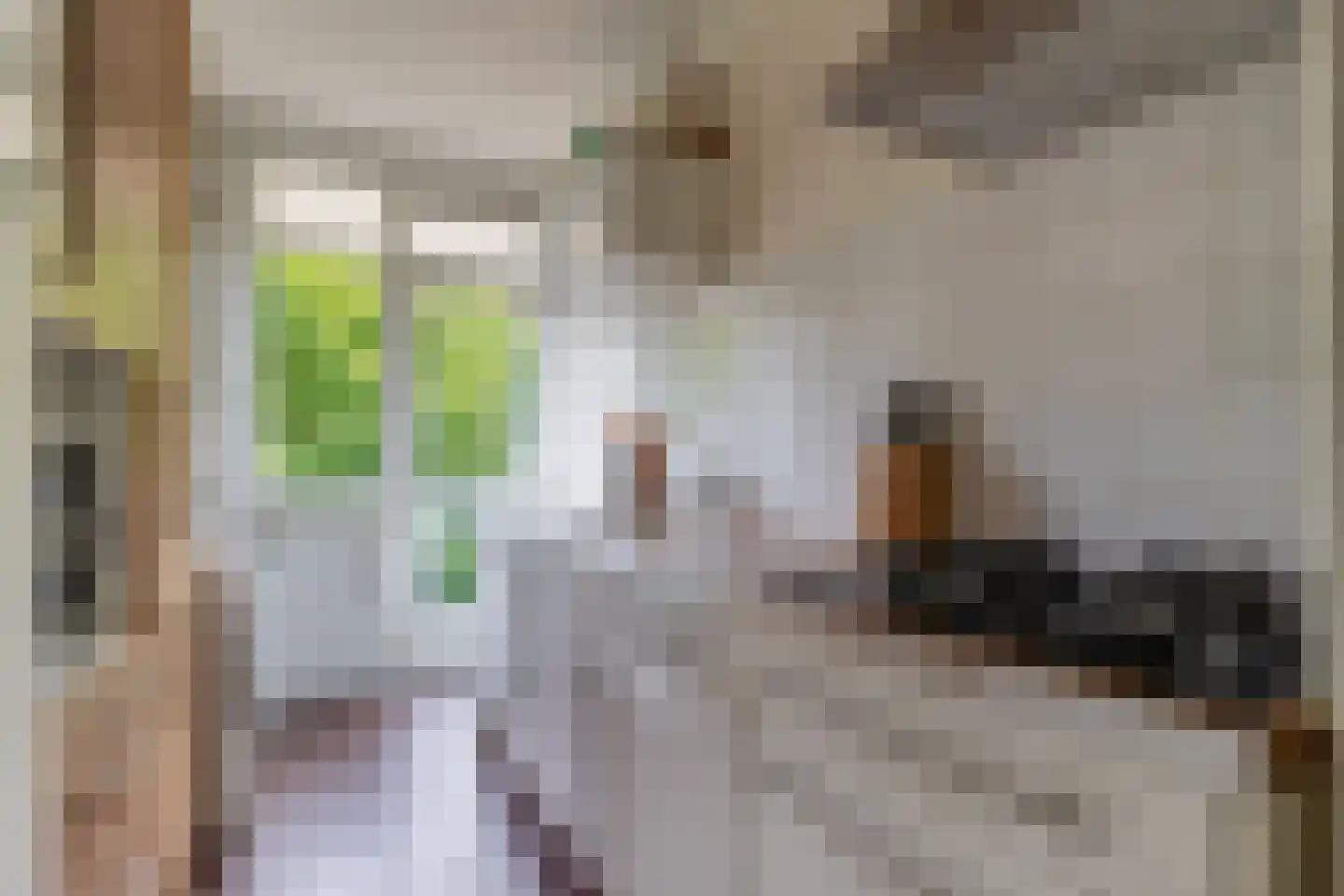 Tolsteegplantsoen 3 3 Utrecht thumbnail 20