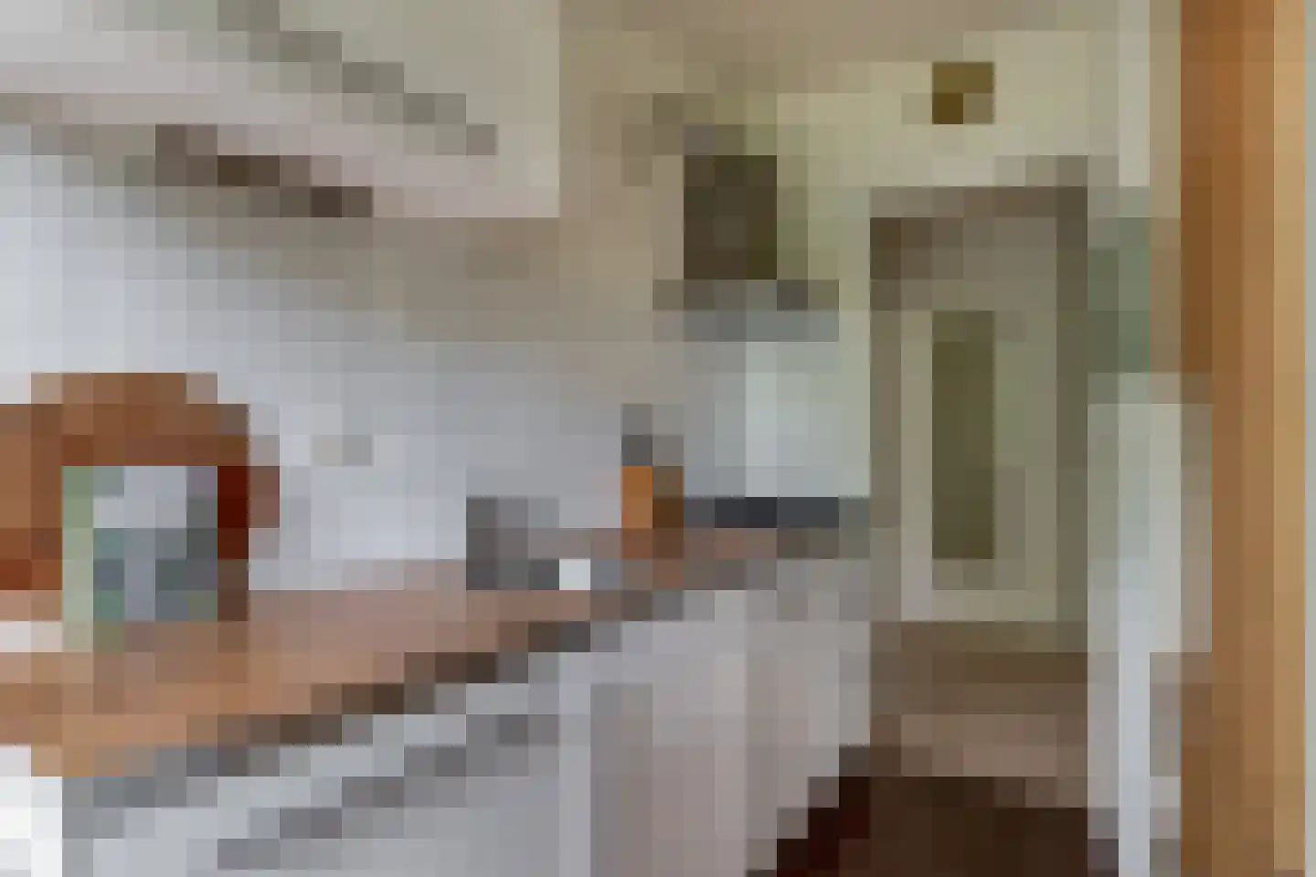 Tolsteegplantsoen 3 3 Utrecht thumbnail 21