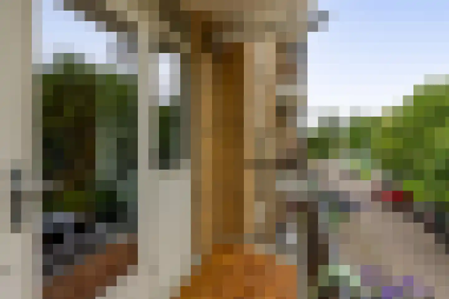 Tolsteegplantsoen 3 3 Utrecht thumbnail 24