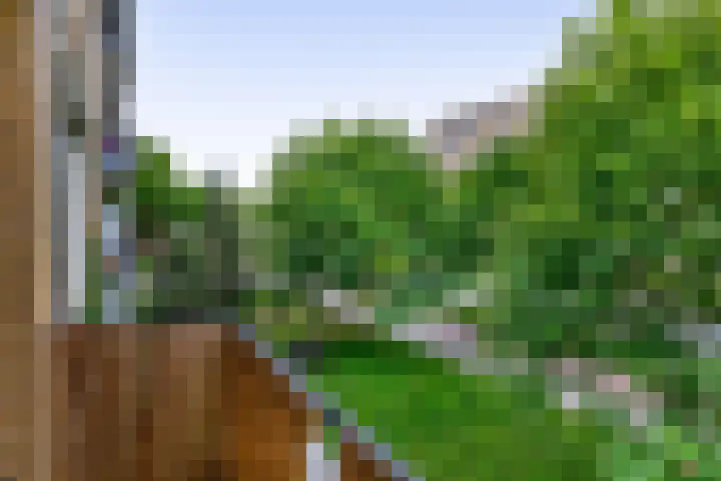 Tolsteegplantsoen 3 3 Utrecht thumbnail 26