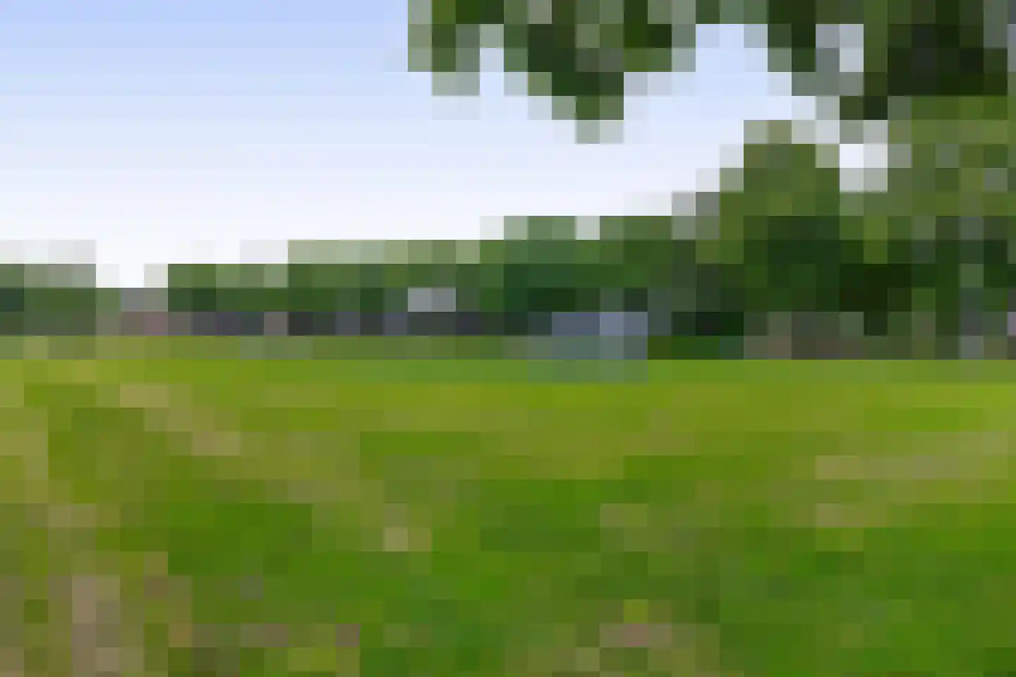 Tolsteegplantsoen 3 3 Utrecht thumbnail 32