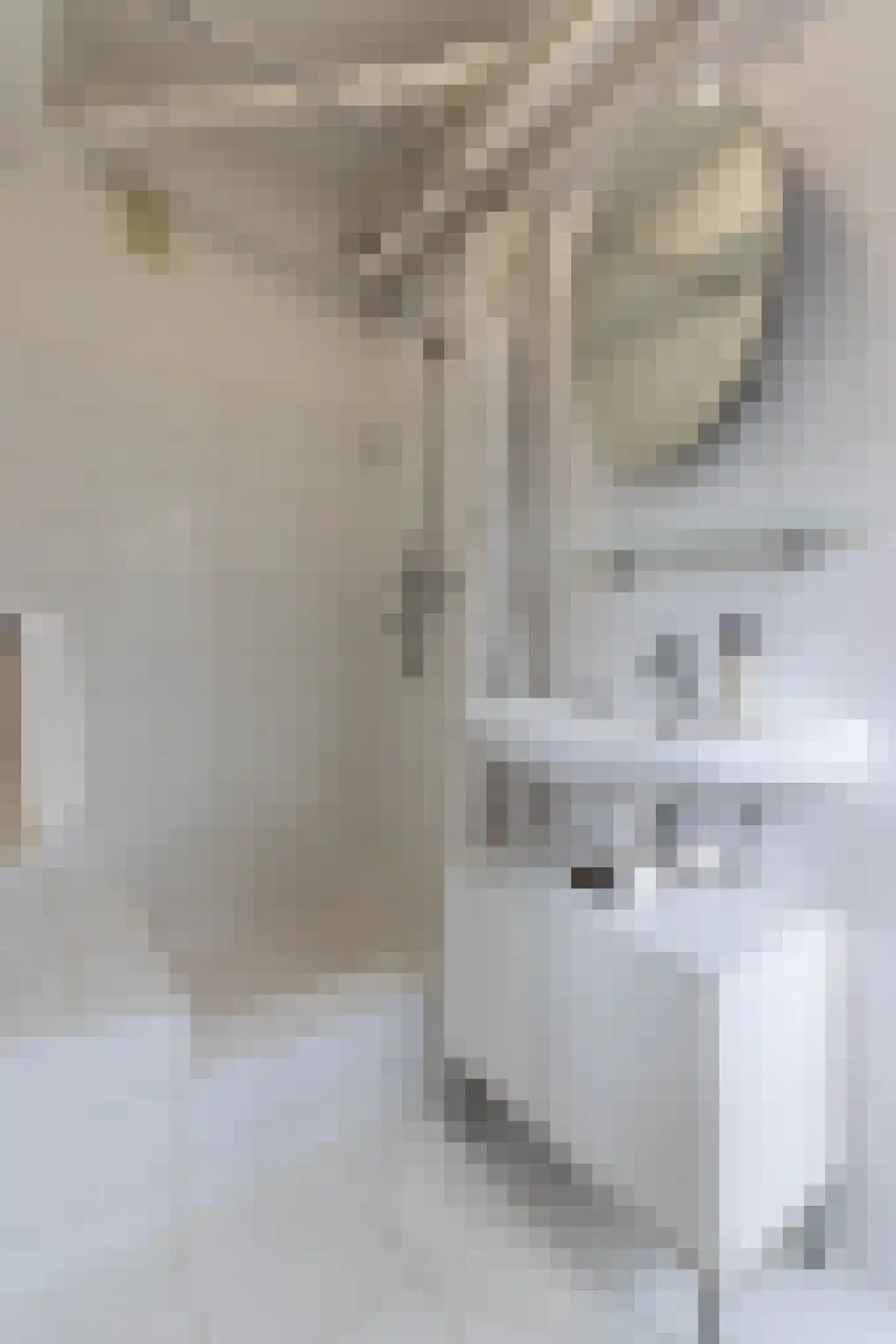Tolsteegplantsoen 3 Utrecht thumbnail 14