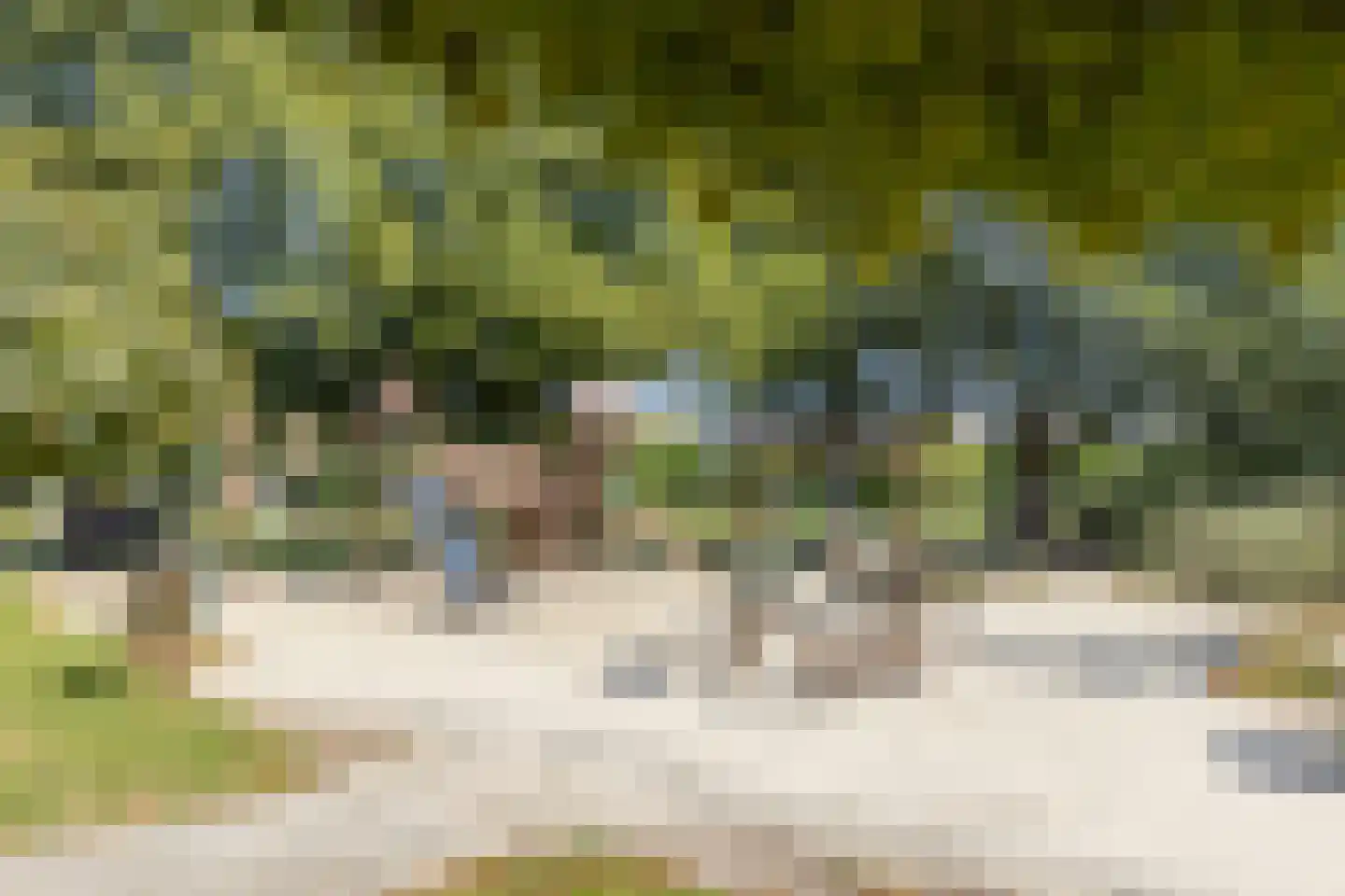 Tolsteegplantsoen 3 Utrecht thumbnail 25
