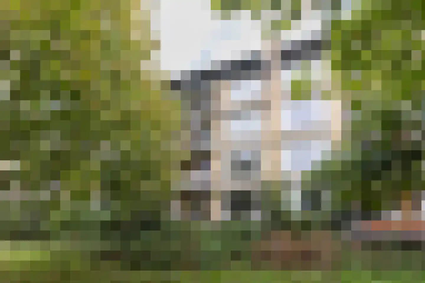 Tolsteegplantsoen 3 Utrecht thumbnail 28