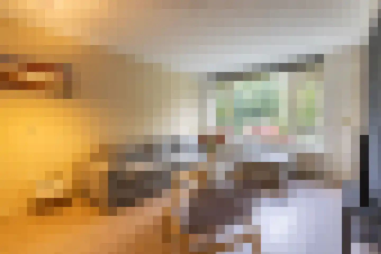 Tolsteegplantsoen 3 Utrecht thumbnail 5