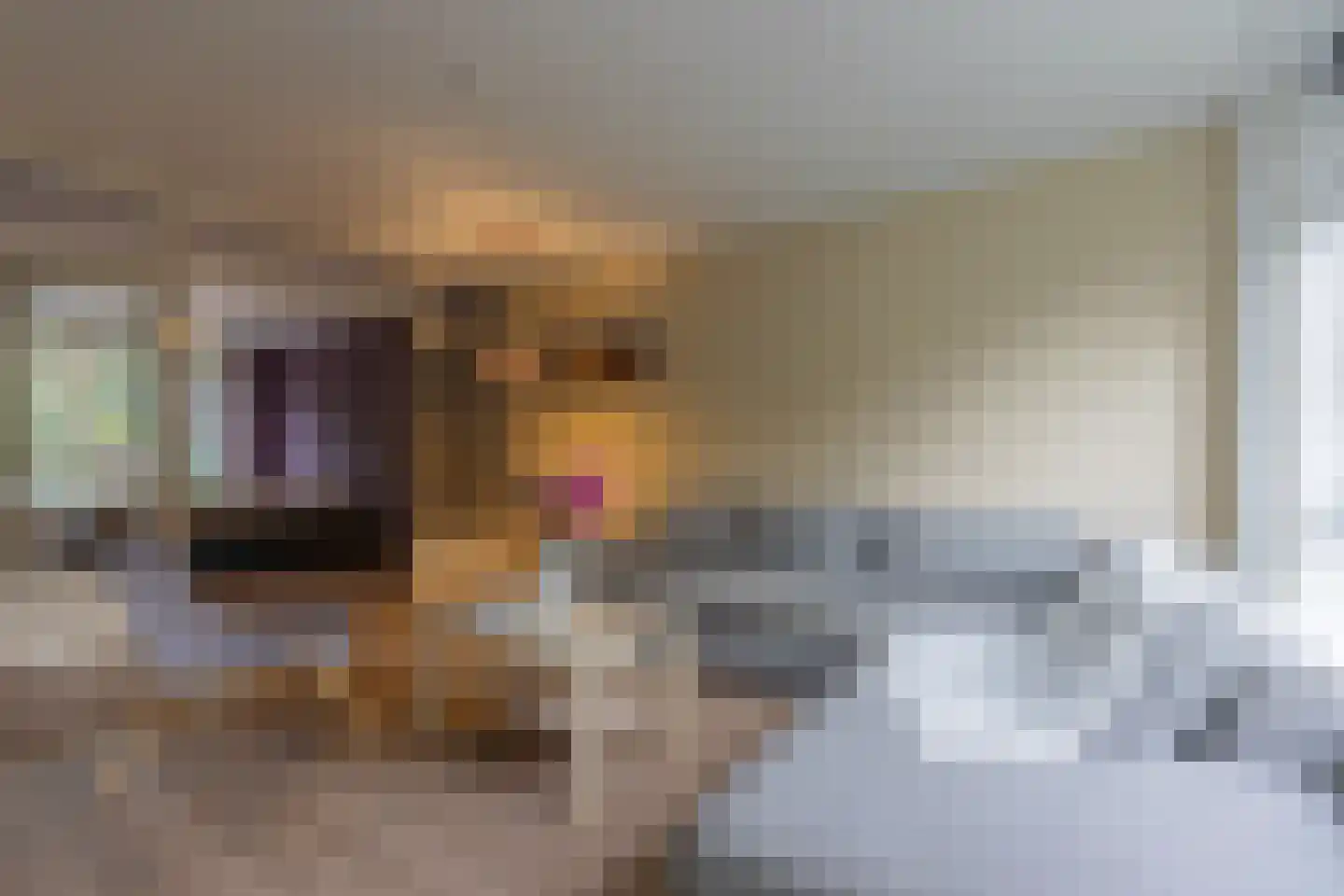 Tolsteegplantsoen 3 Utrecht thumbnail 6