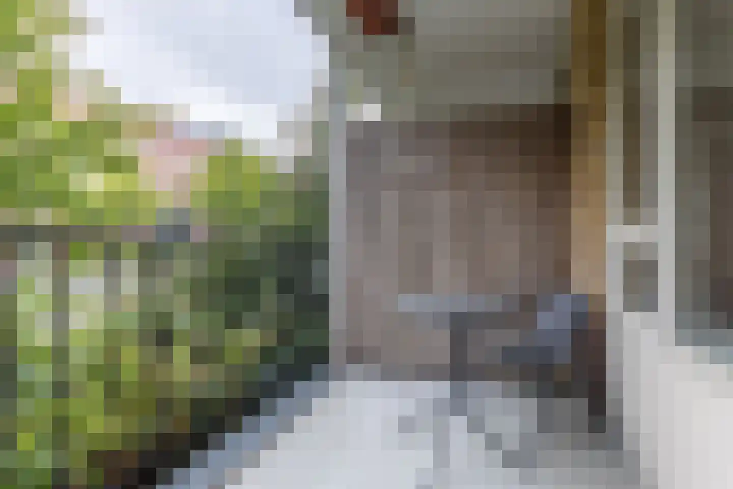 Tolsteegplantsoen 3 Utrecht thumbnail 7