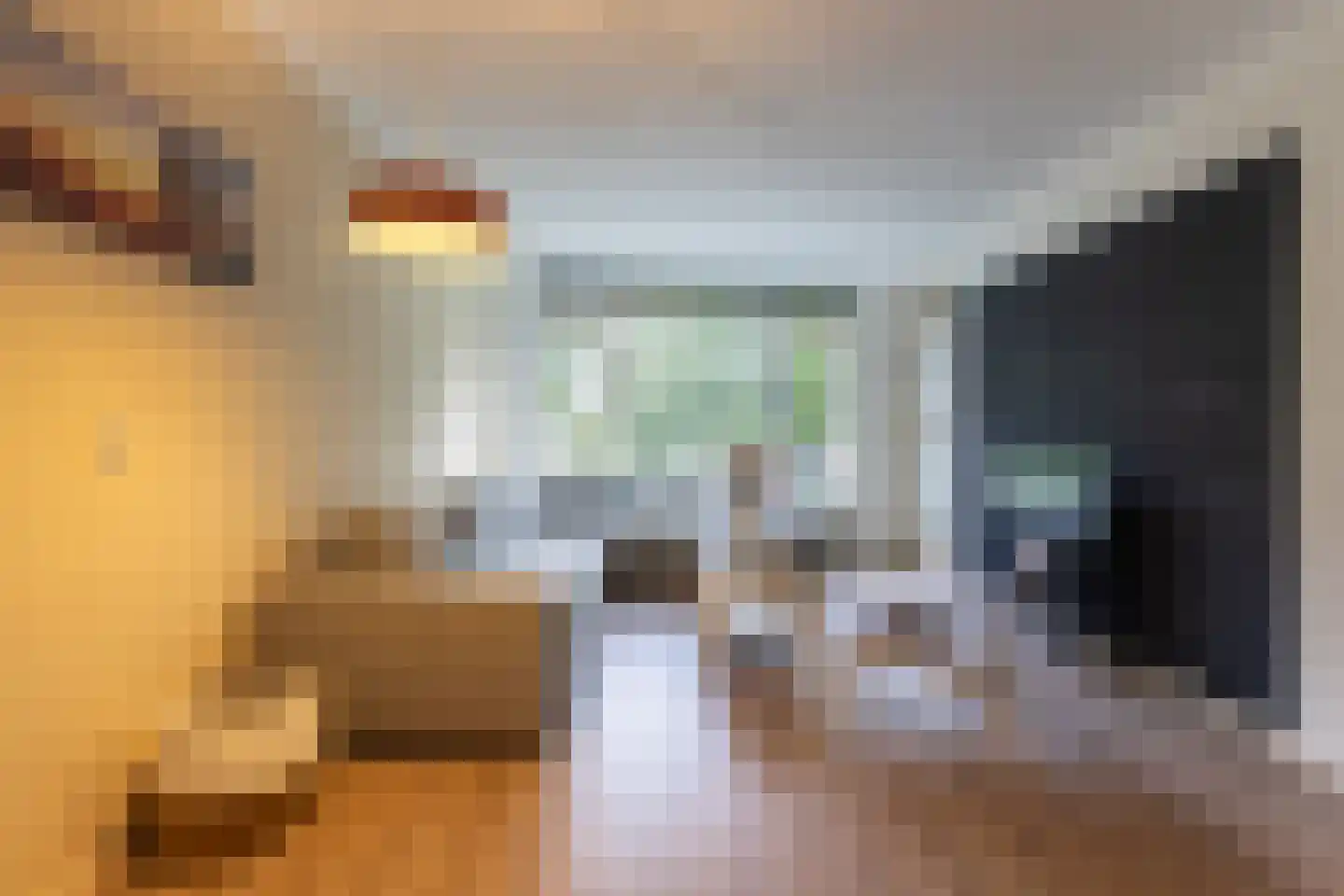 Tolsteegplantsoen 3 Utrecht thumbnail 9