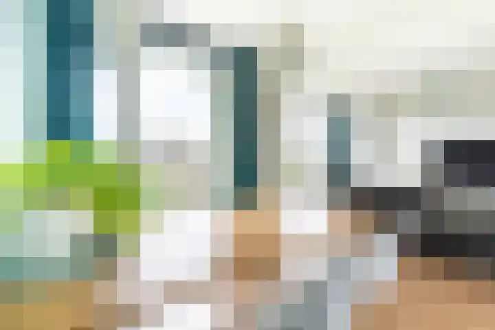Tolsteegplantsoen 30 3 Utrecht thumbnail 10