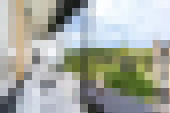 Tolsteegplantsoen 30 3 Utrecht thumbnail 11