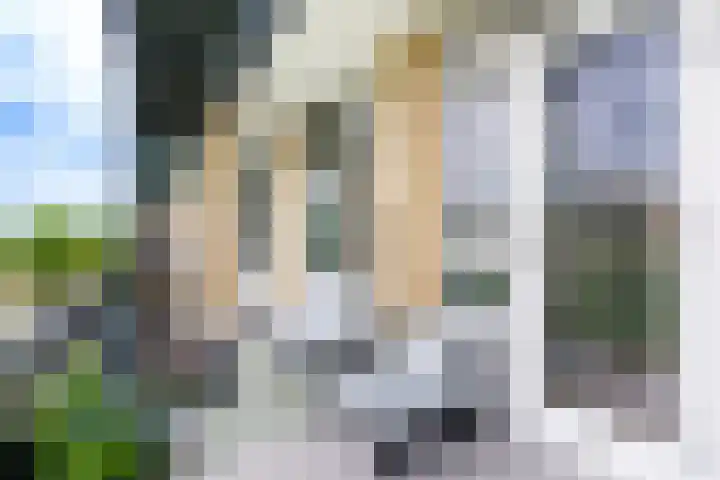 Tolsteegplantsoen 30 3 Utrecht thumbnail 12