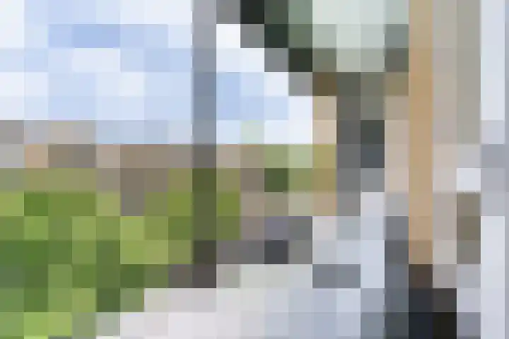 Tolsteegplantsoen 30 3 Utrecht thumbnail 13
