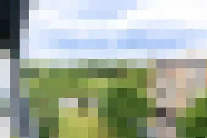 Tolsteegplantsoen 30 3 Utrecht thumbnail 14