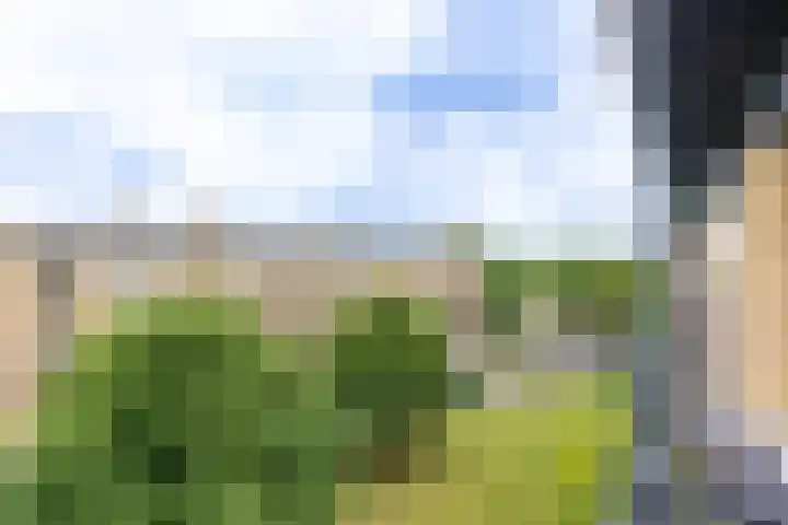 Tolsteegplantsoen 30 3 Utrecht thumbnail 15