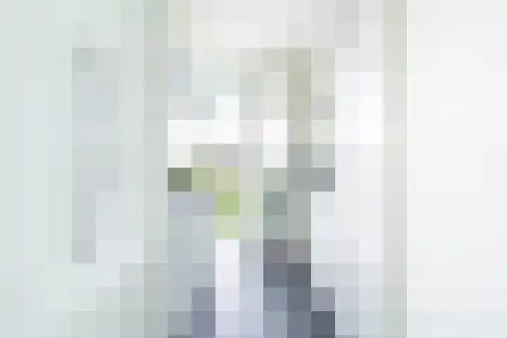 Tolsteegplantsoen 30 3 Utrecht thumbnail 16