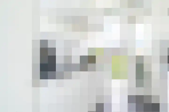 Tolsteegplantsoen 30 3 Utrecht thumbnail 17