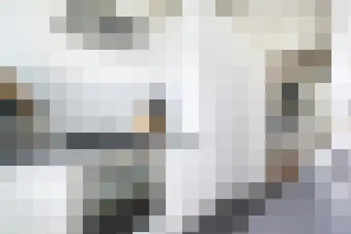 Tolsteegplantsoen 30 3 Utrecht thumbnail 19