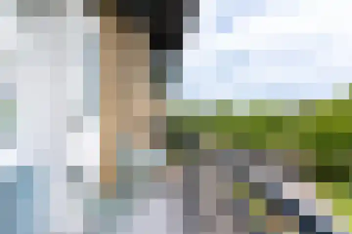 Tolsteegplantsoen 30 3 Utrecht thumbnail 20