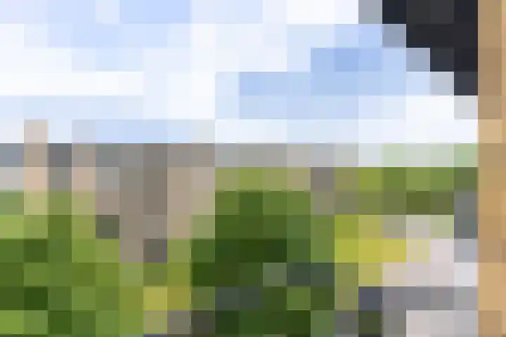 Tolsteegplantsoen 30 3 Utrecht thumbnail 21