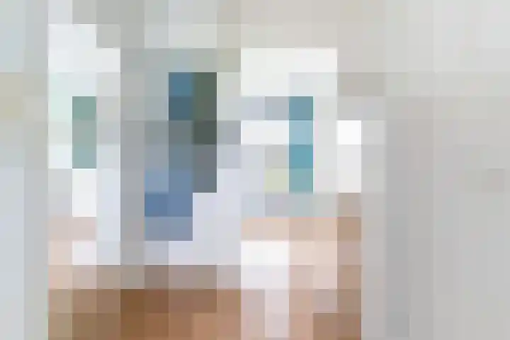 Tolsteegplantsoen 30 3 Utrecht thumbnail 27
