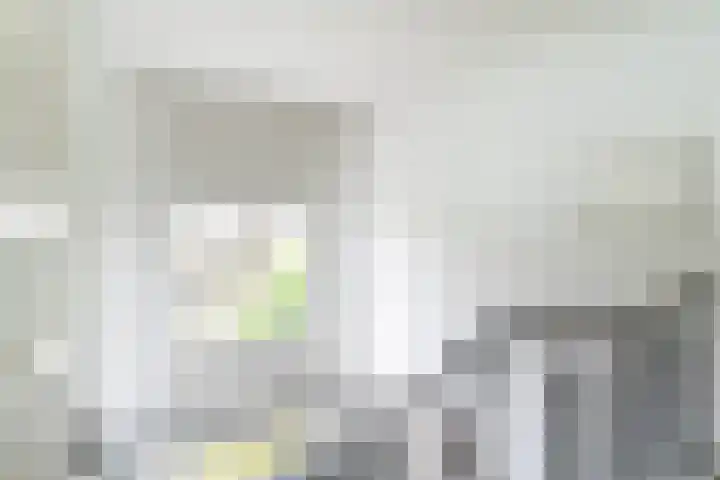 Tolsteegplantsoen 30 3 Utrecht thumbnail 31