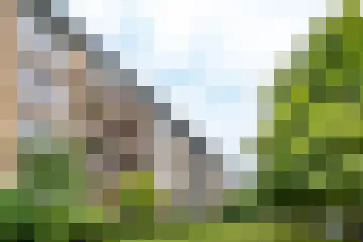 Tolsteegplantsoen 30 3 Utrecht thumbnail 37