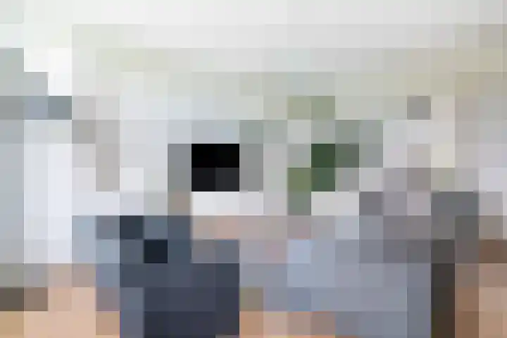 Tolsteegplantsoen 30 3 Utrecht thumbnail 4
