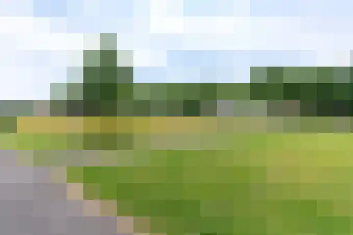 Tolsteegplantsoen 30 3 Utrecht thumbnail 41