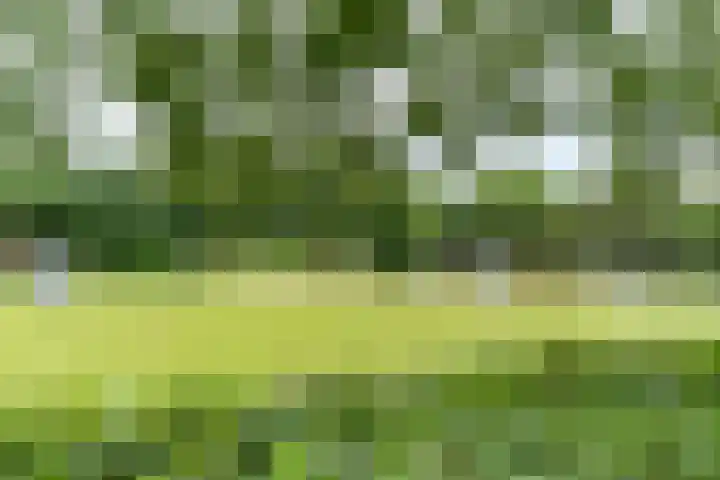 Tolsteegplantsoen 30 3 Utrecht thumbnail 42