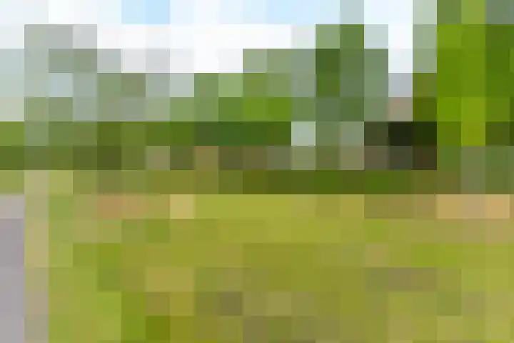Tolsteegplantsoen 30 3 Utrecht thumbnail 43