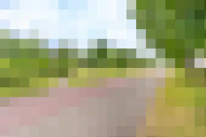 Tolsteegplantsoen 30 3 Utrecht thumbnail 44