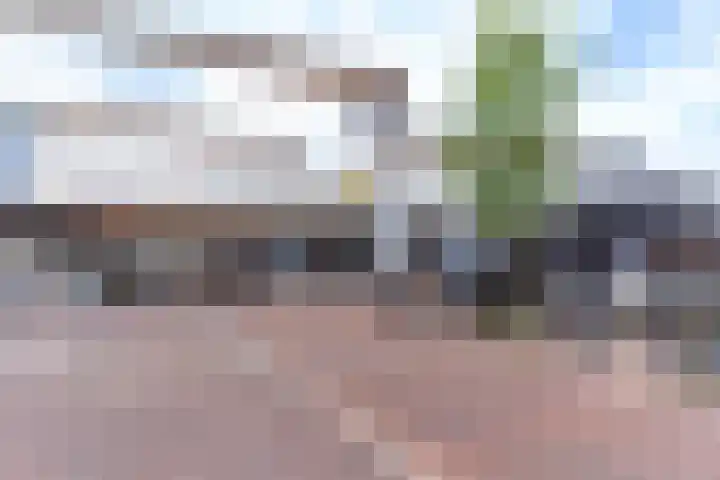 Tolsteegplantsoen 30 3 Utrecht thumbnail 45